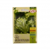 Envelope Alface Hanson Crespa Repolhuda