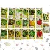 Kit Sementes de Hortaliças
