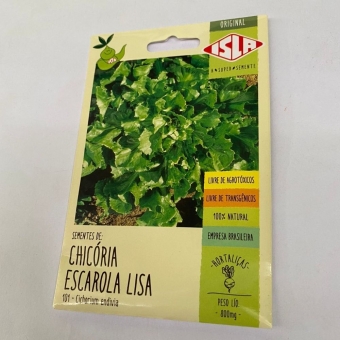 Envelope Chicória Escarola Lisa
