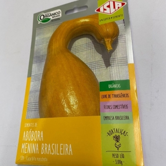 Envelope Abóbora Menina Brasileira Orgânico