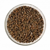 Garapa, Garapeira