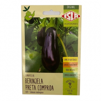 Envelope Berinjela Preta Comprida