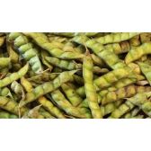 Feijão Guandu - Fava Larga