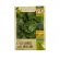 Envelope Alface Grandes Lagos Americana