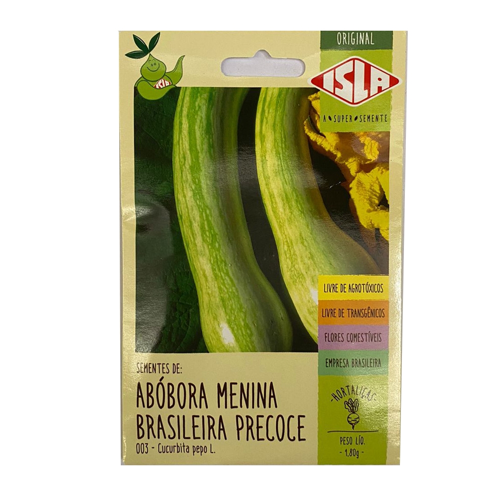 Envelope Abóbora Menina Brasileira