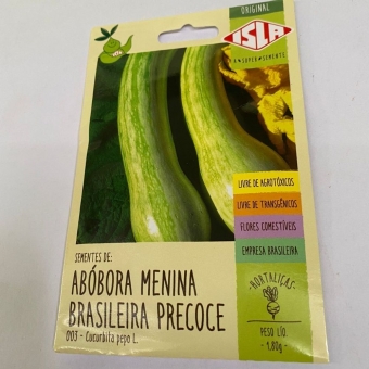 Envelope Abóbora Menina Brasileira