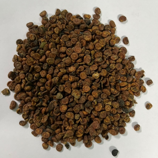 Guabiroba – Araça