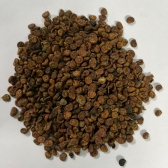 Guabiroba – Araça