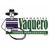 Capim Vaquero