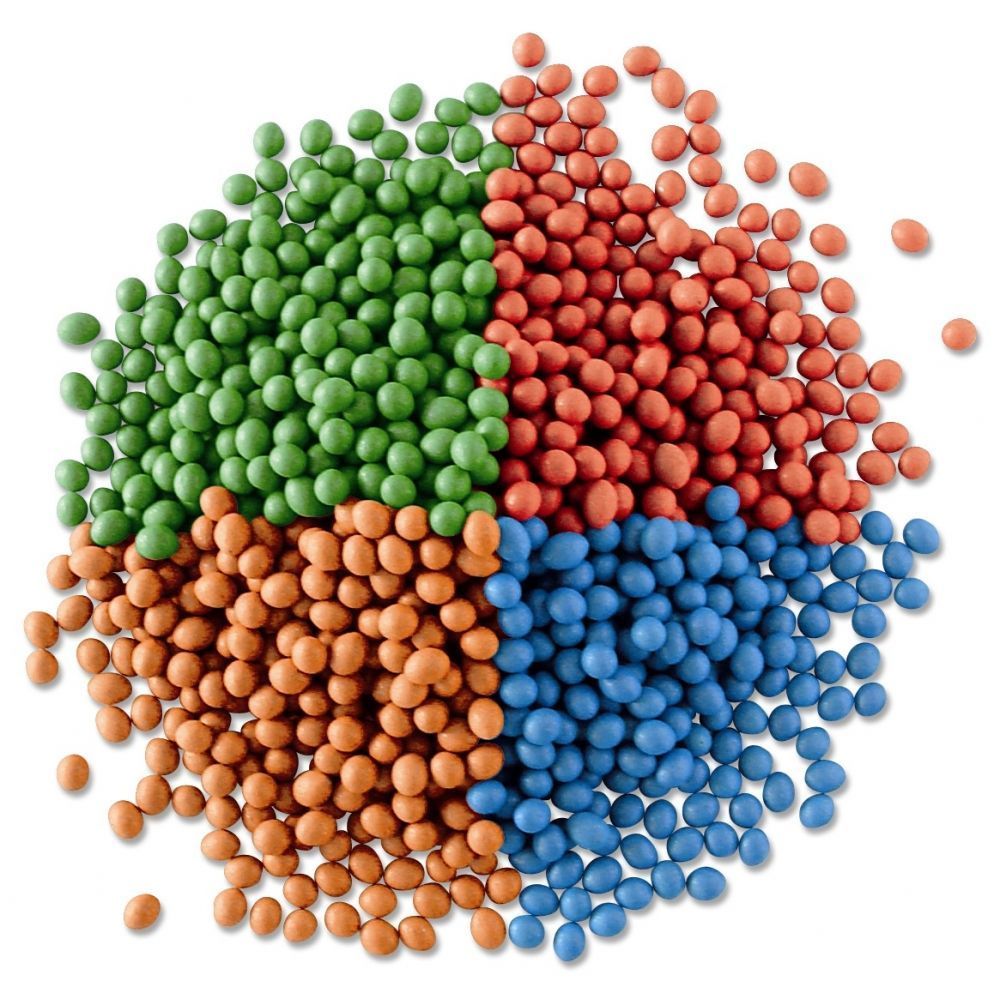 Eucalipto Camaldulensis