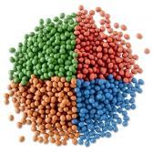 Eucalipto Camaldulensis