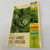 Envelope Alface Grandes Lagos Americana